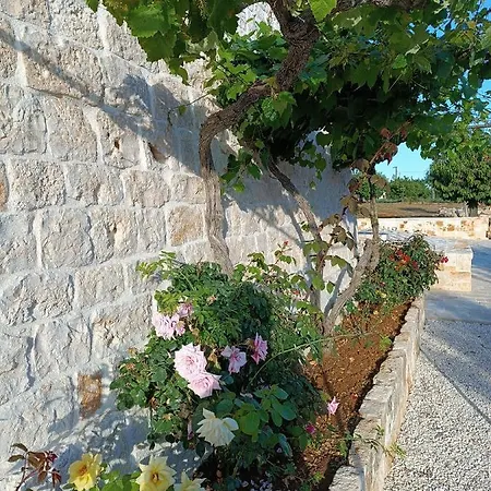דירה Demetra Trulli Experience